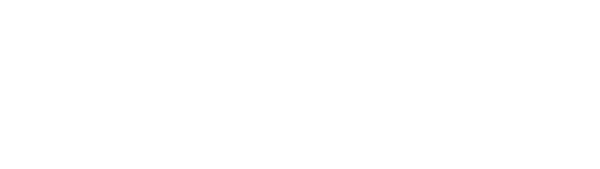 Hodl Wars